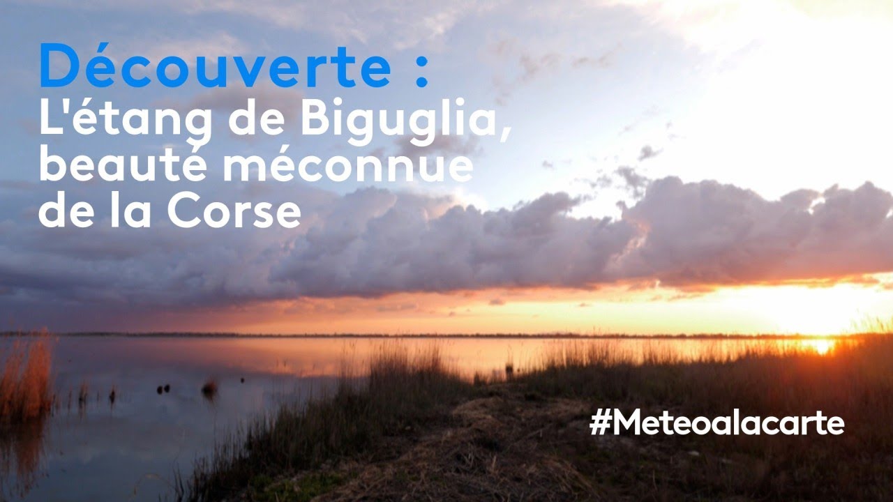 Découverte : l'étang de Biguglia, beauté méconnue de la Corse