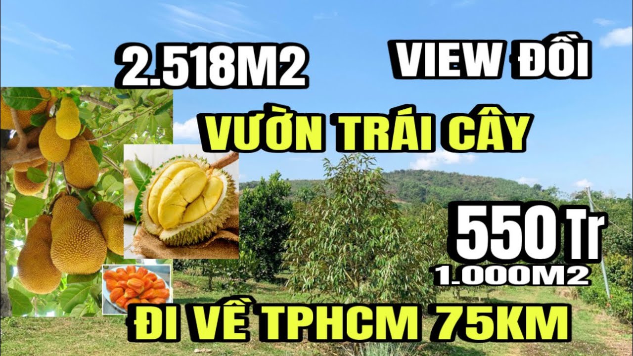 Ch&iacute;nh chủ b&aacute;n gấp, Vườn tr&aacute;i c&acirc;y, 2.5 s&agrave;o, gần lộ nhựa, Huyện cẩm Mỹ cũ, Đồng Nai
