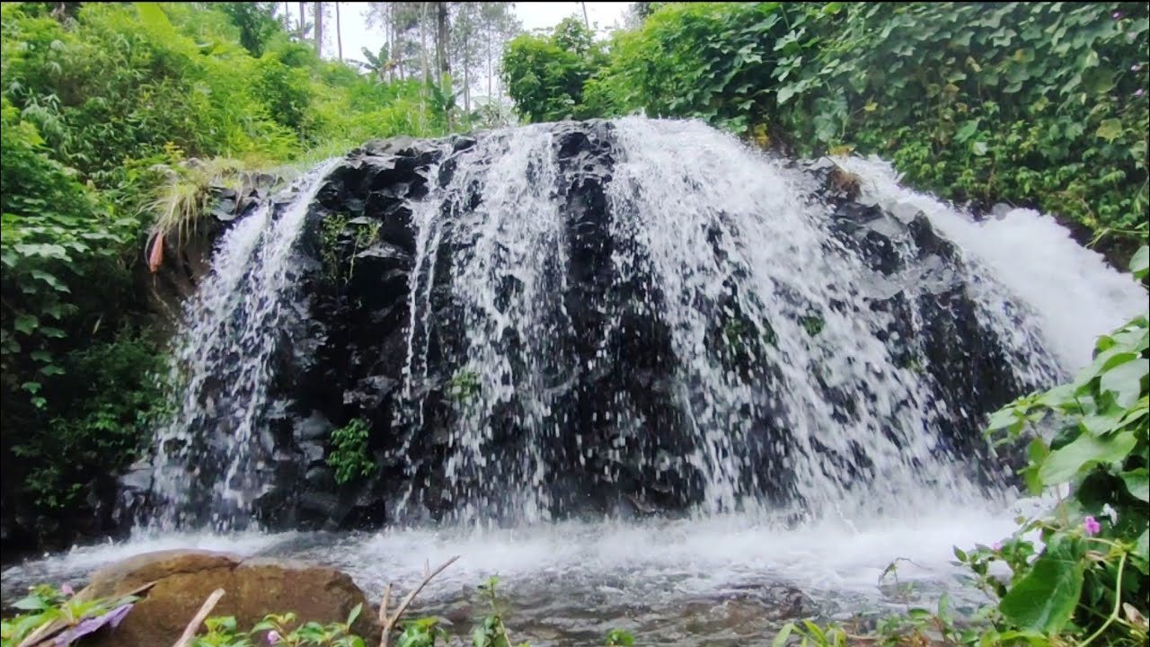 Natural Waterfall Sounds | Stress Relief & ASMR Relaxation💦🌿