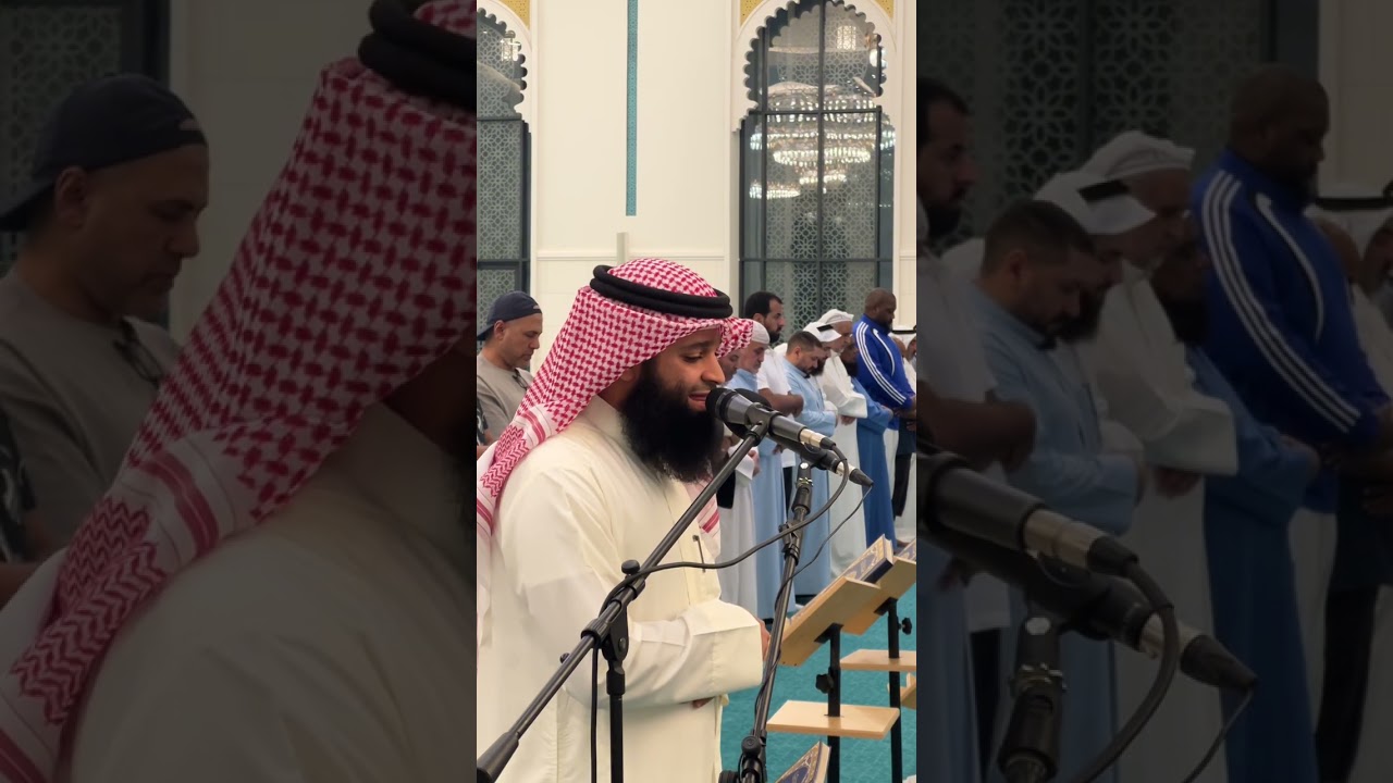 عشائية جديدة وتلاوة جميلة | فهد واصل المطيري