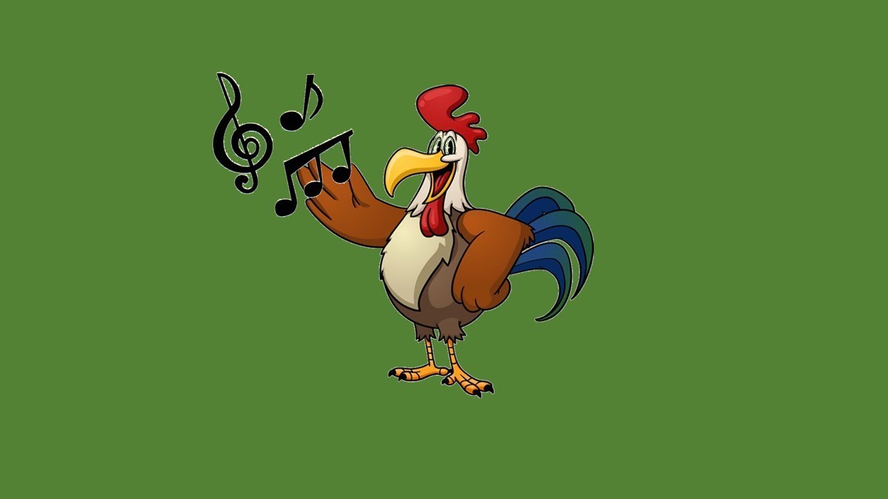 Marcelito