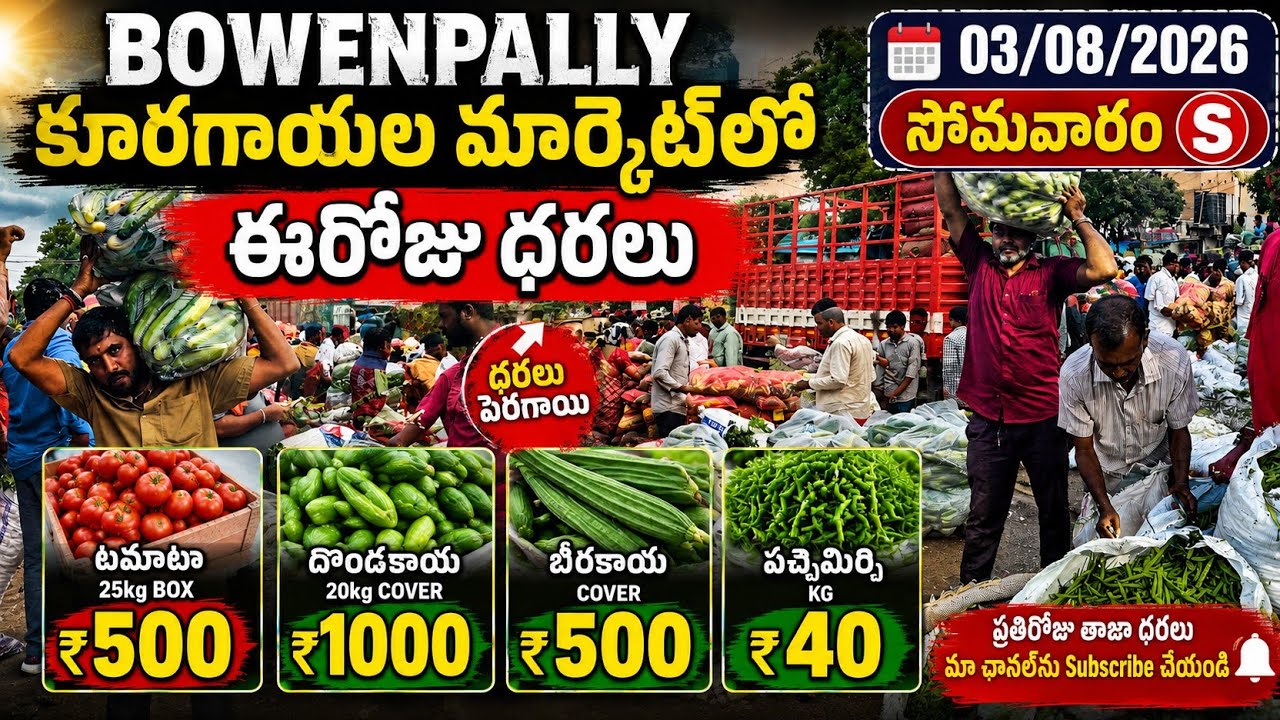Today Vegetable Prices in Hyderabad | Bowenpally Vegetable Market Today | Vegetable Prices | 08-0...