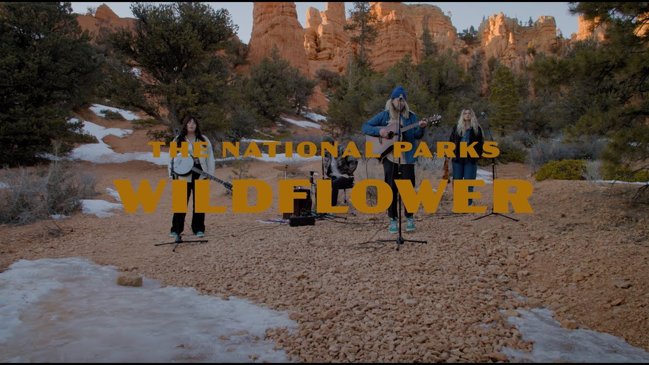 The National Parks || Wildflower (Acoustic Video)