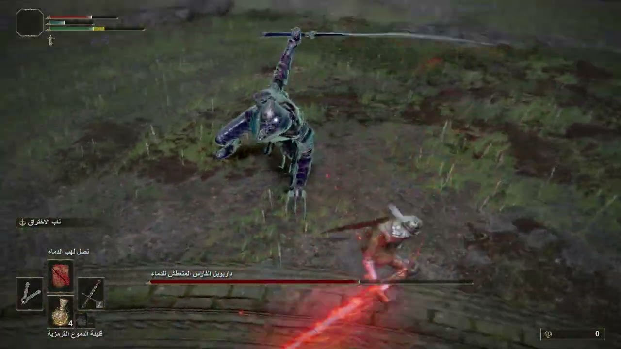 my full fight against dariywel