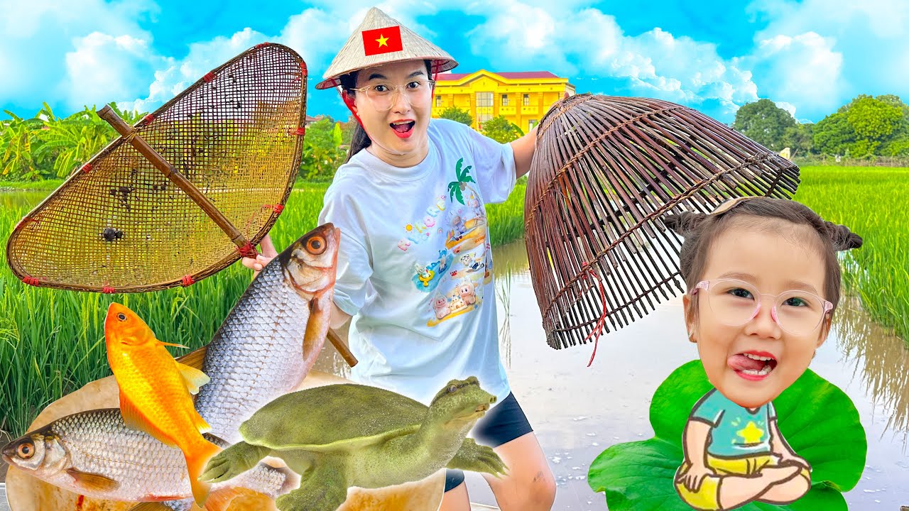 Changcady trổ tài bắt cá ngoài đồng về làm thức ăn cho mèo, bắt được con ếch, cá trạch, cá trê