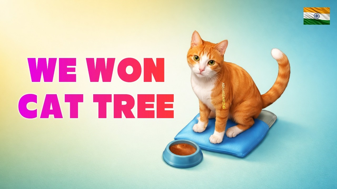 We Won The Cat Tree | Just Chatting | Last Day on Earth: Survival India