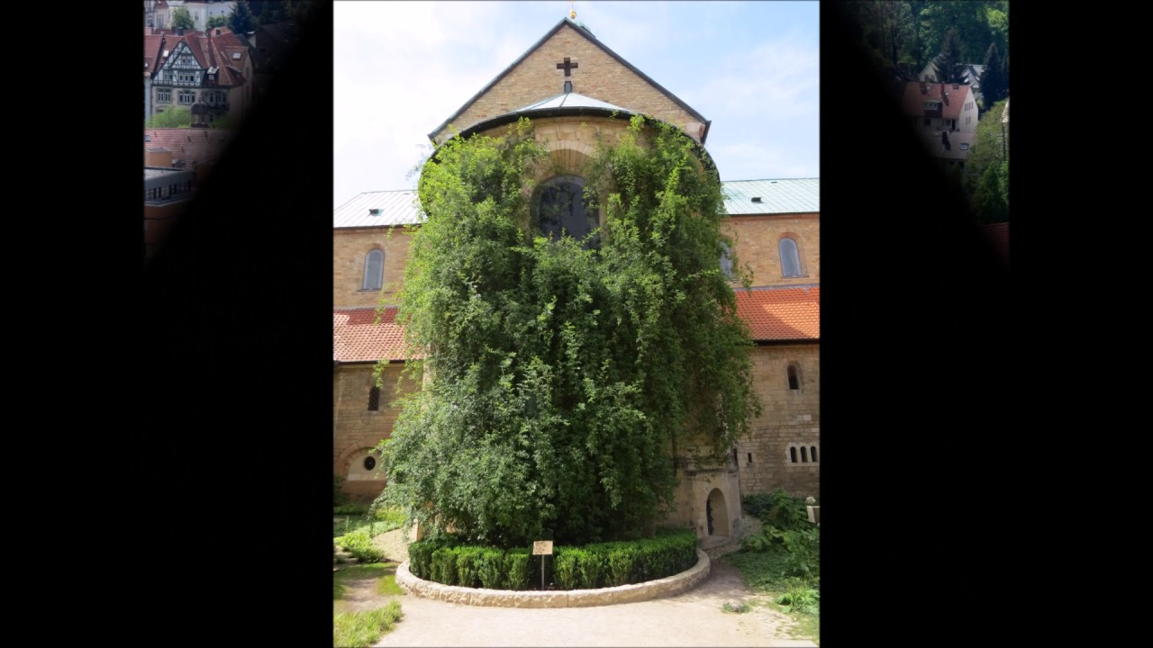 Hildesheim: Dom Geläut zur Vorabendmesse