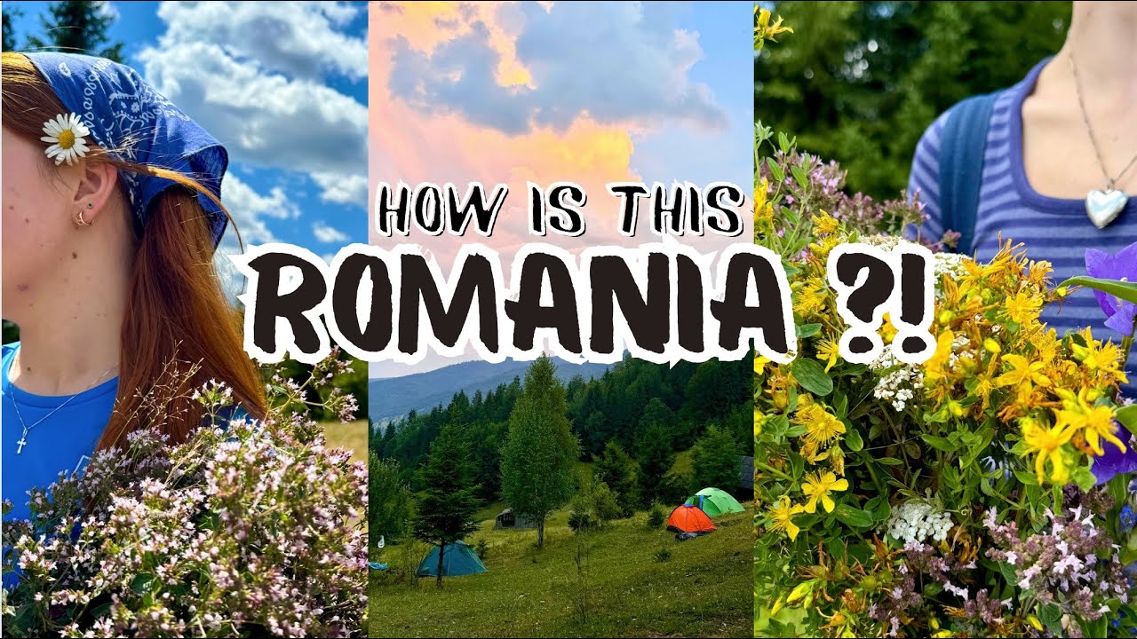 My time in Ghimes Romania July 2024