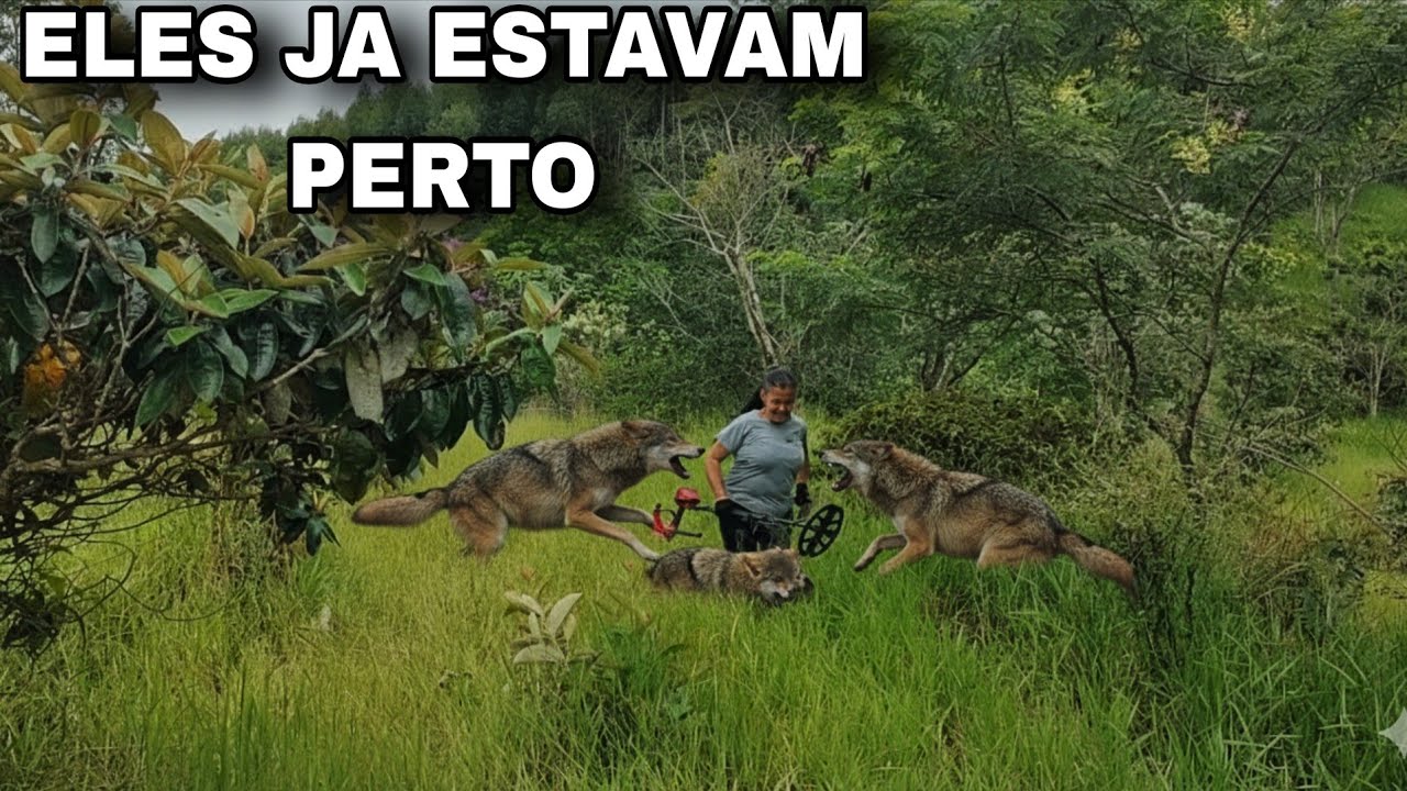 Pesquisa deixa Helena na boca dos bichos!😨