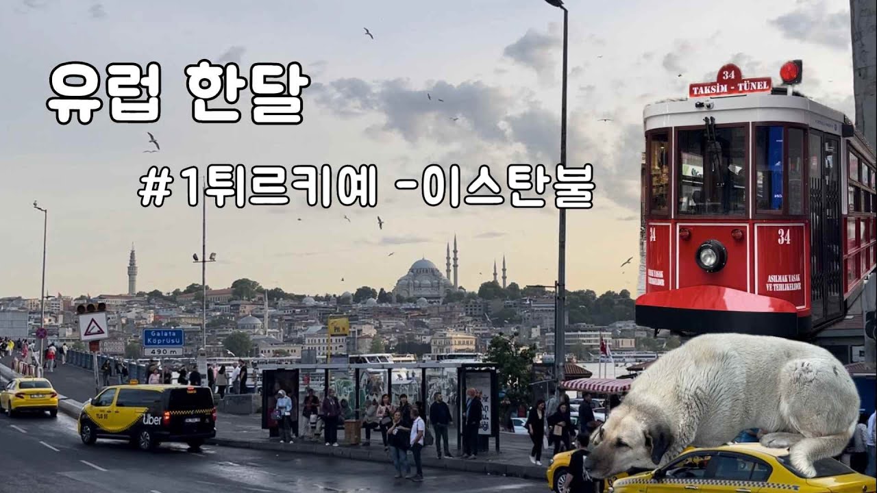 MZ남매가 떠나는 무작정 유럽 한달 여행 #1튀르키예-1.이스탄불