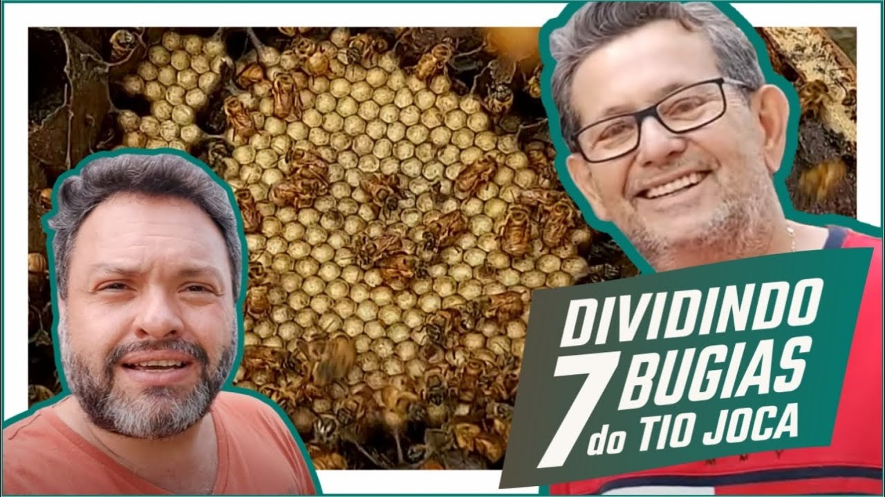 DIVIDINDO as 7 BUGIAS do TIO JOCA! CAIXAS MUITO FORTES!!!
