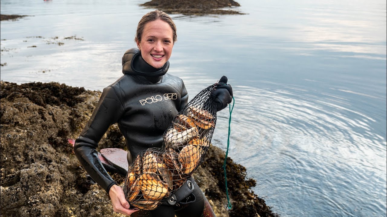 Scotland Scallop diving - We've NEVER seen so many!