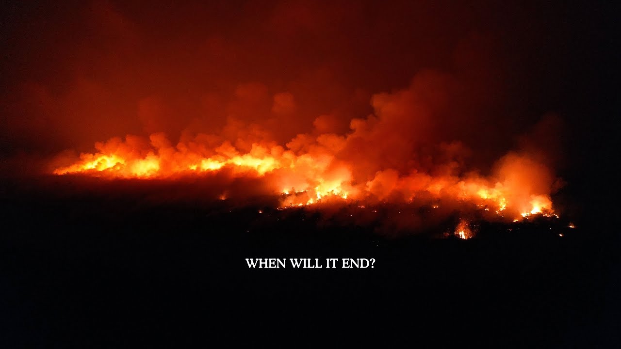 Borneo is burning - Kapan ini akan berakhir?