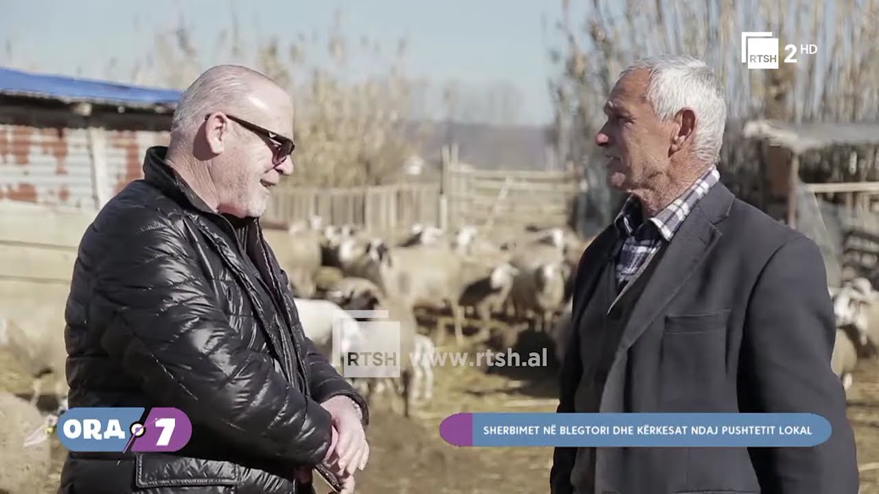 Ora 7 në RTSH: Shërbimet në blektori dhe kërkesat ndaj pushtetit lokal! 