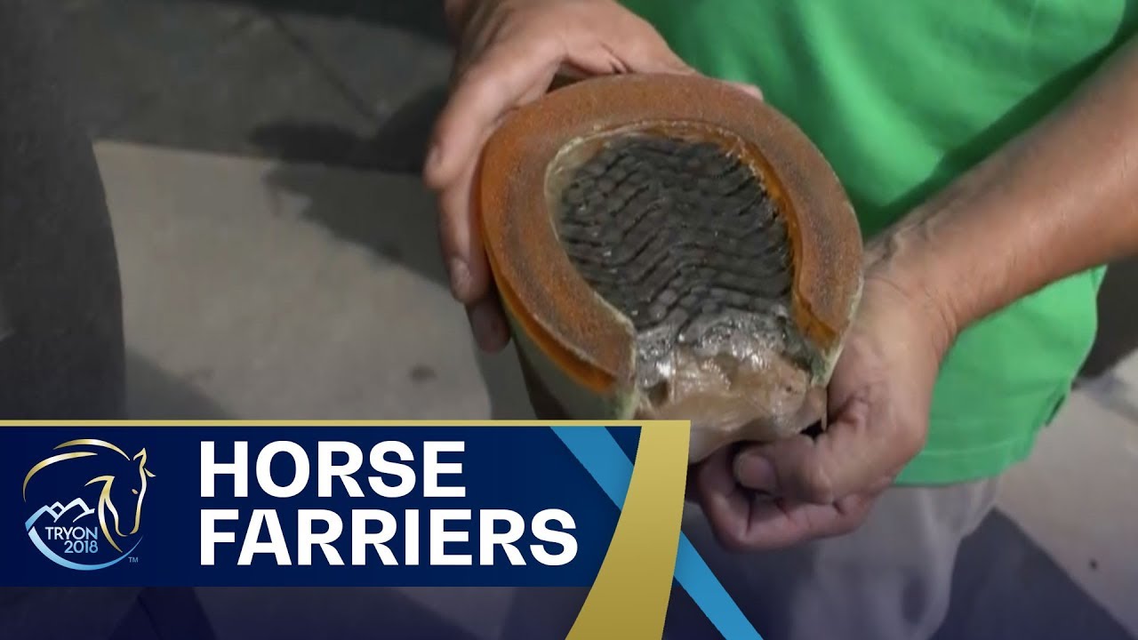 The Job of Horse Farriers | FEI World Equestrian Games 2018