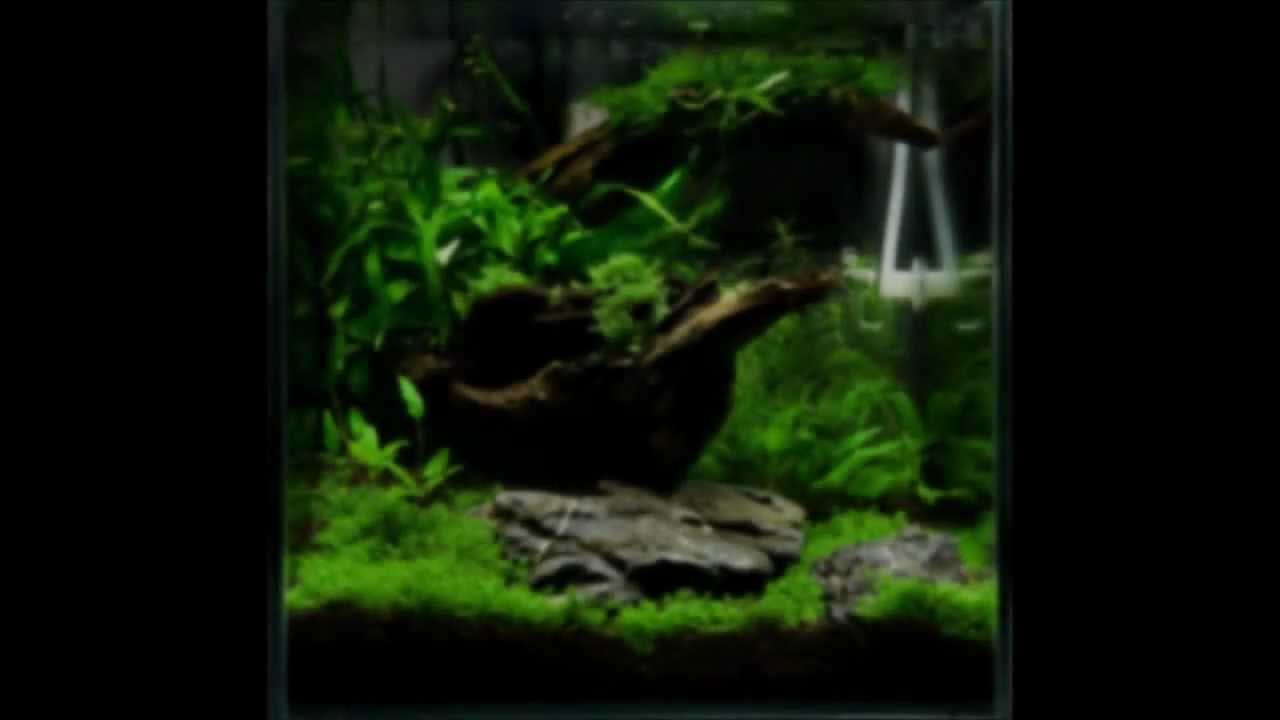 Nano Cube - 30x30x30 Optiwhite