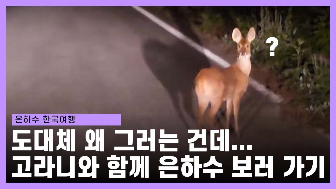 은하수 촬영하러 가는 길... 고라니와 드라이브
