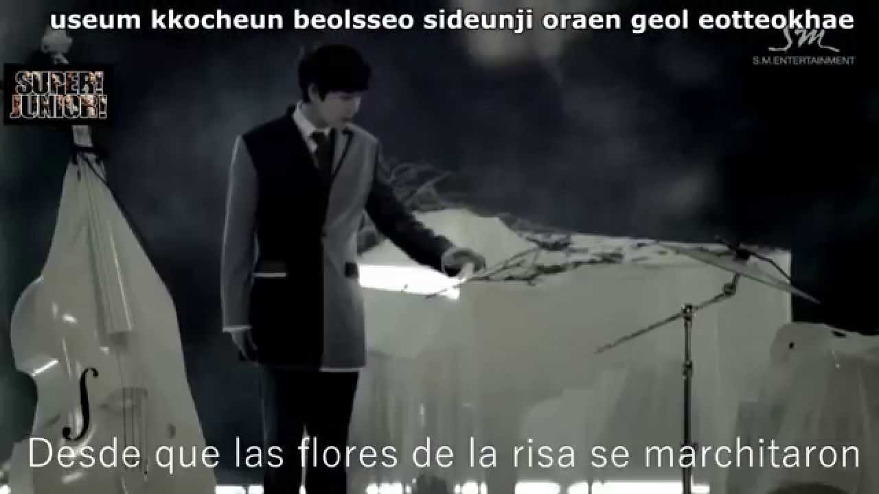 Super Junior - Evanesce (Adaptacion al español)