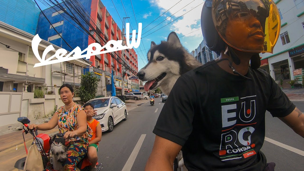 Husky Dog Rides Vespa Motorcycle