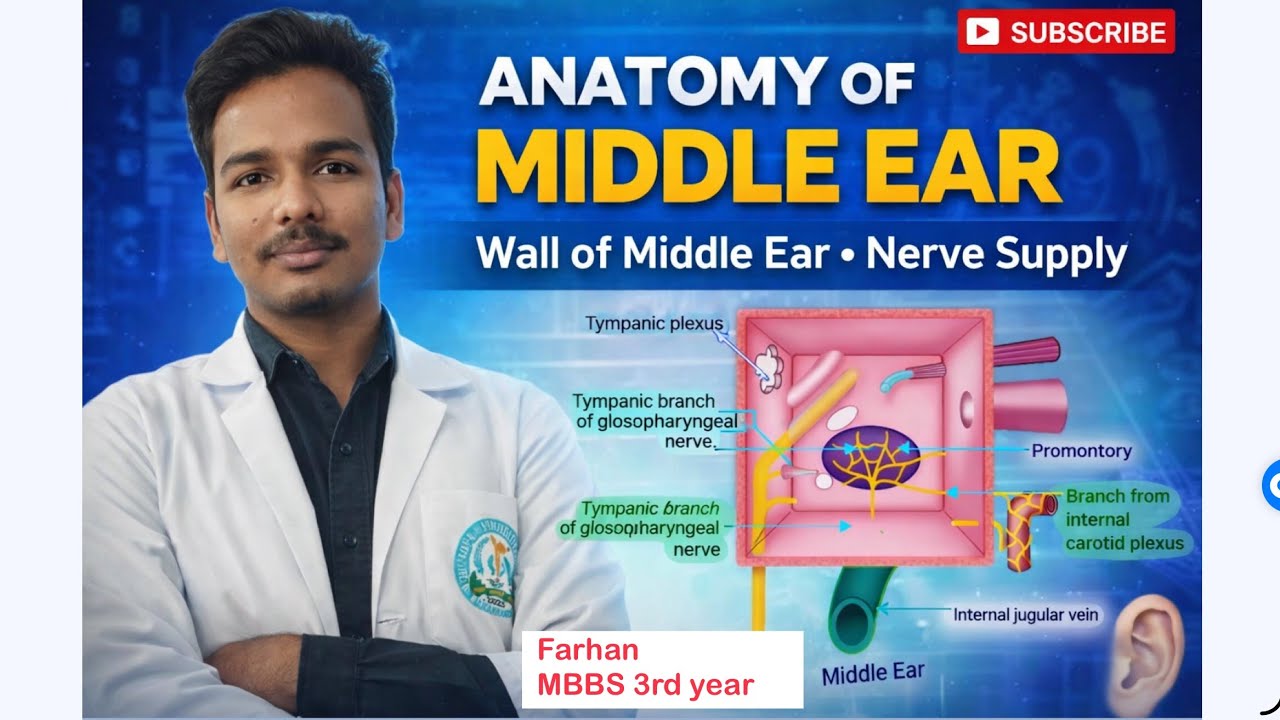 ENT # Anatomy of Middle ear @ Nerve supply/ Wall of middle ear / Ini cet