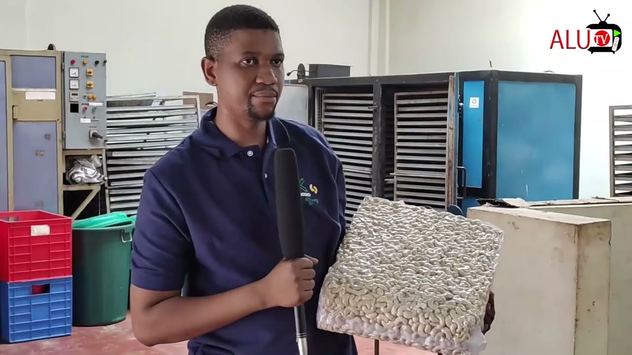 KILIMO CHA KOROSHO JINSI KILIVYO NA TIJA/KOROSHO GROUP WAELEZEA ILIVYOLETA MANUFAA KWA WAKULIMA