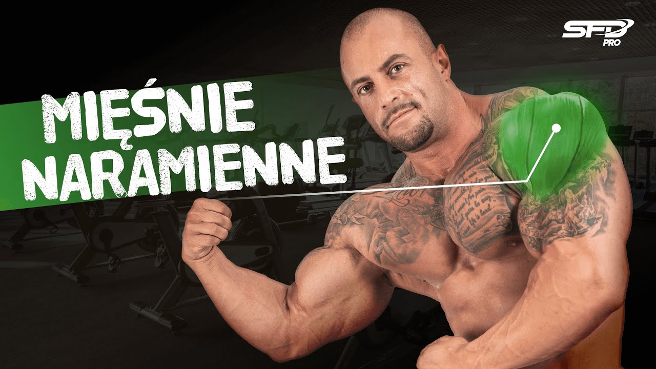 Atlas Ćwiczeń SFD - Mięśnie naramienne (BARKI)