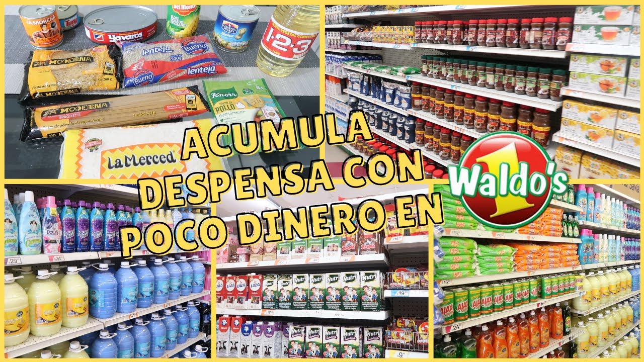 ACUMULA DESPENSA CON POCO DINERO  | DESPENSA BÁSICA CON SOLO $200 PESOS | Erika Blop