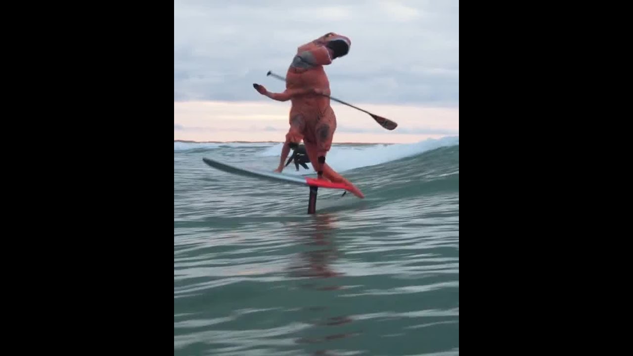 Dinosaur Surfing