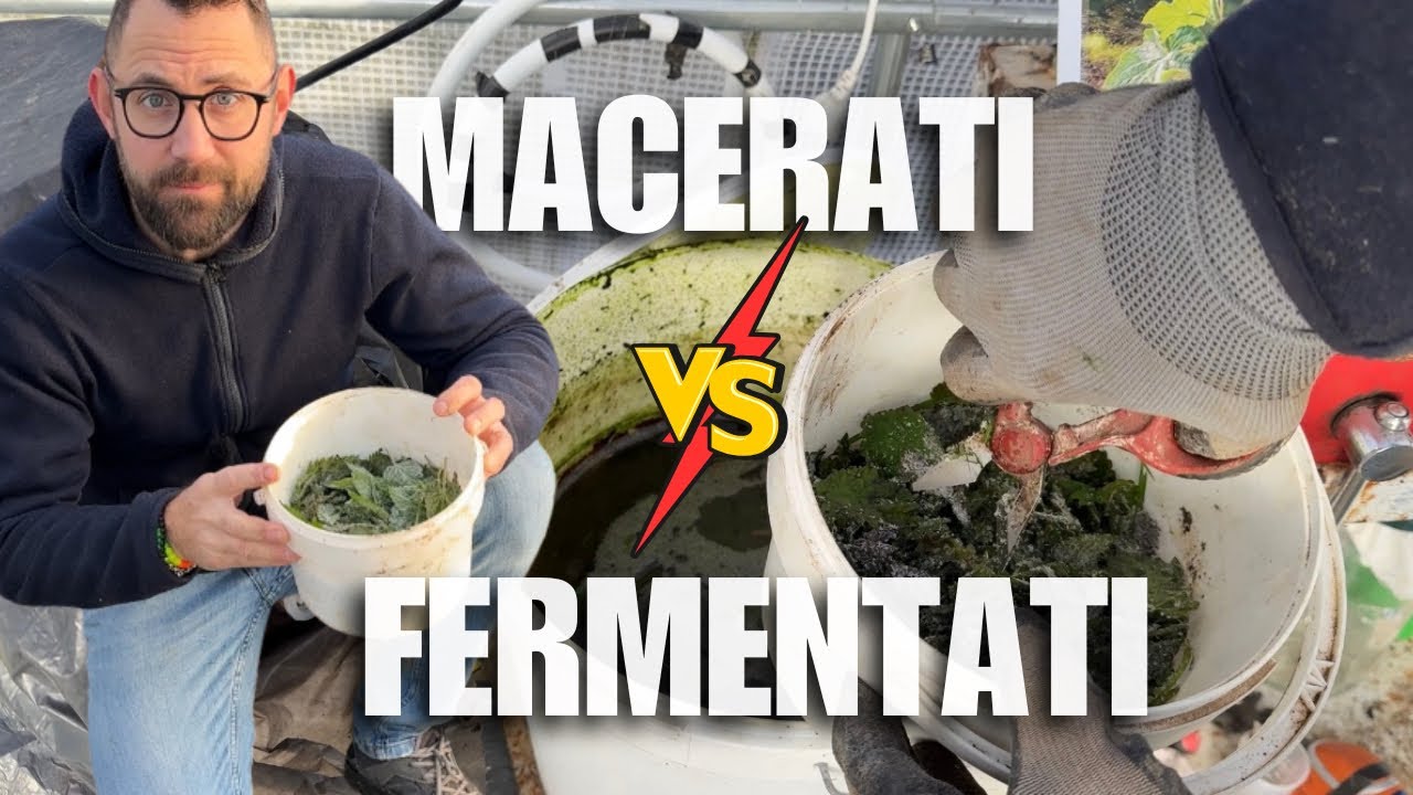 MACERATI vs FERMENTATI: la differenza cambia il tuo ORTO