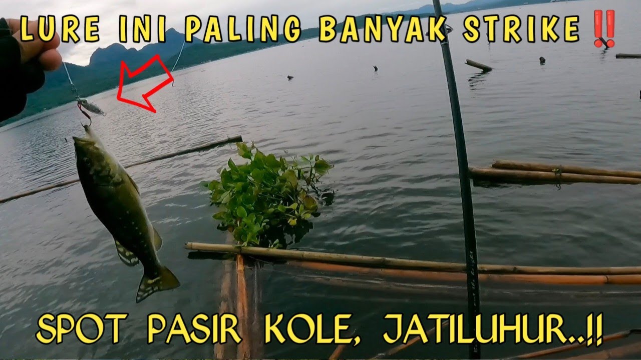 SPOT PASIR KOLE JATILUHUR || CASTING PEACOCK BASS JATILUHUR #peacockbass