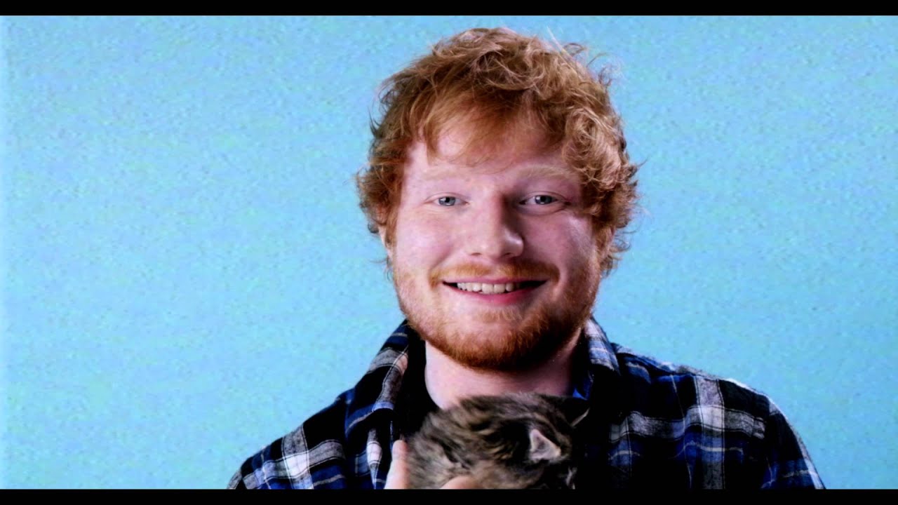 Ed Sheeran Cat Overload | 2015 Much Music Video Awards