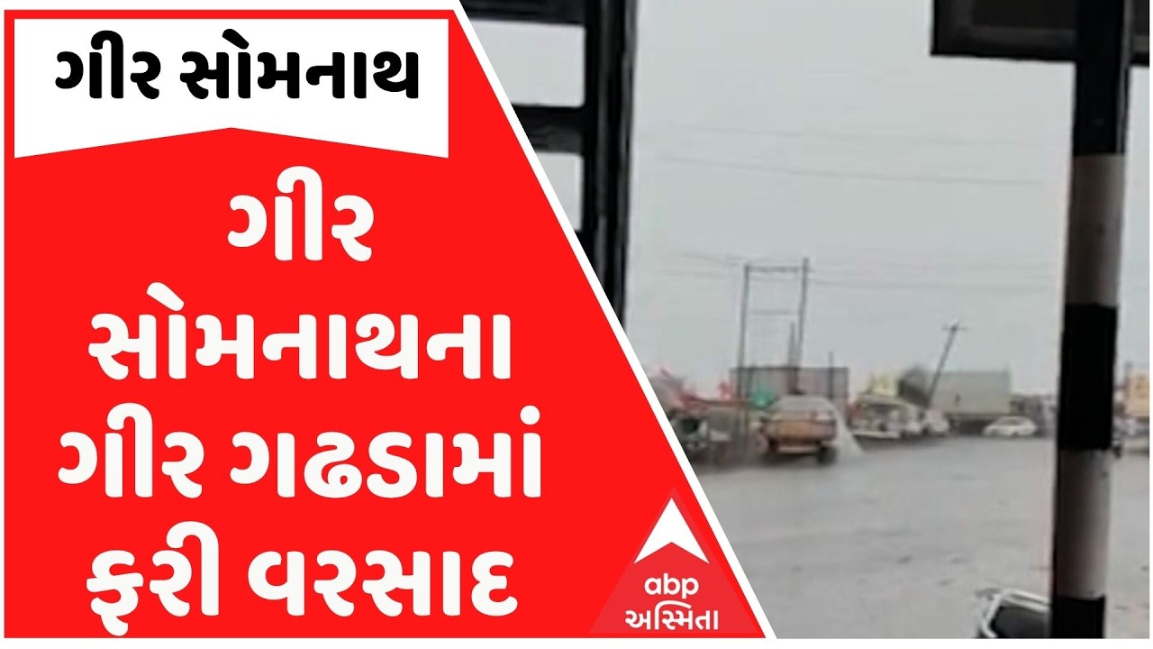 Gir Somnath | ગીર સોમનાથના ગીર ગઢડામાં ફરી વરસાદ, સતત બીજા દિવસના વરસાદથી પાકમાં નુકસાન