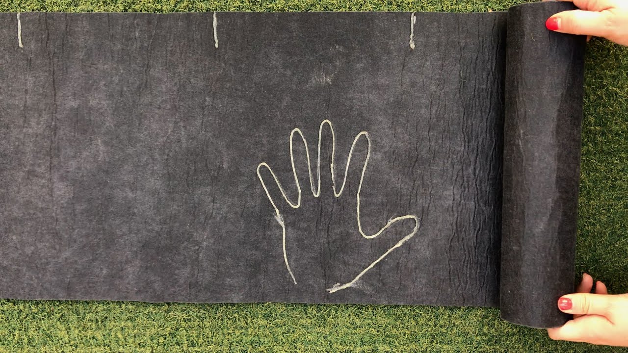 La Linea de la mano