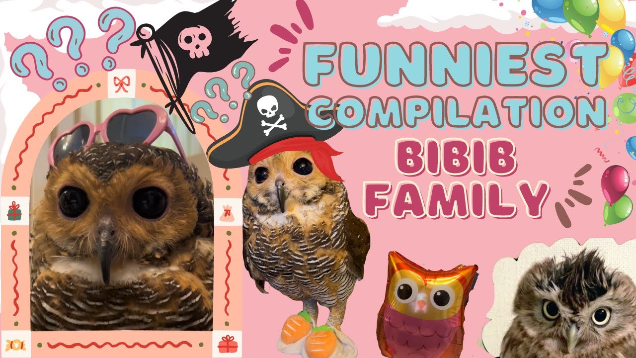 Bibib Family Funniest Compilation Videos part 5 - Video kompilasi Bibib Family the Owl terlucu