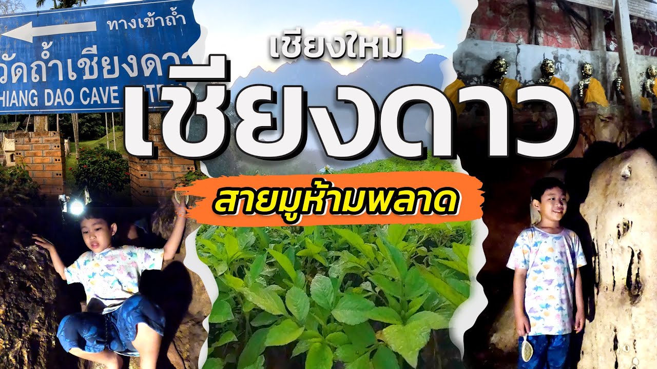 ถ้ำเชียงดาว สายมูห้ามพลาด บ้านม่านหมอกเชียงดาว ปางไฮโซ ที่พักสุดฟิน บ้านสวนอุ้ยอุด ATV สุดลุย