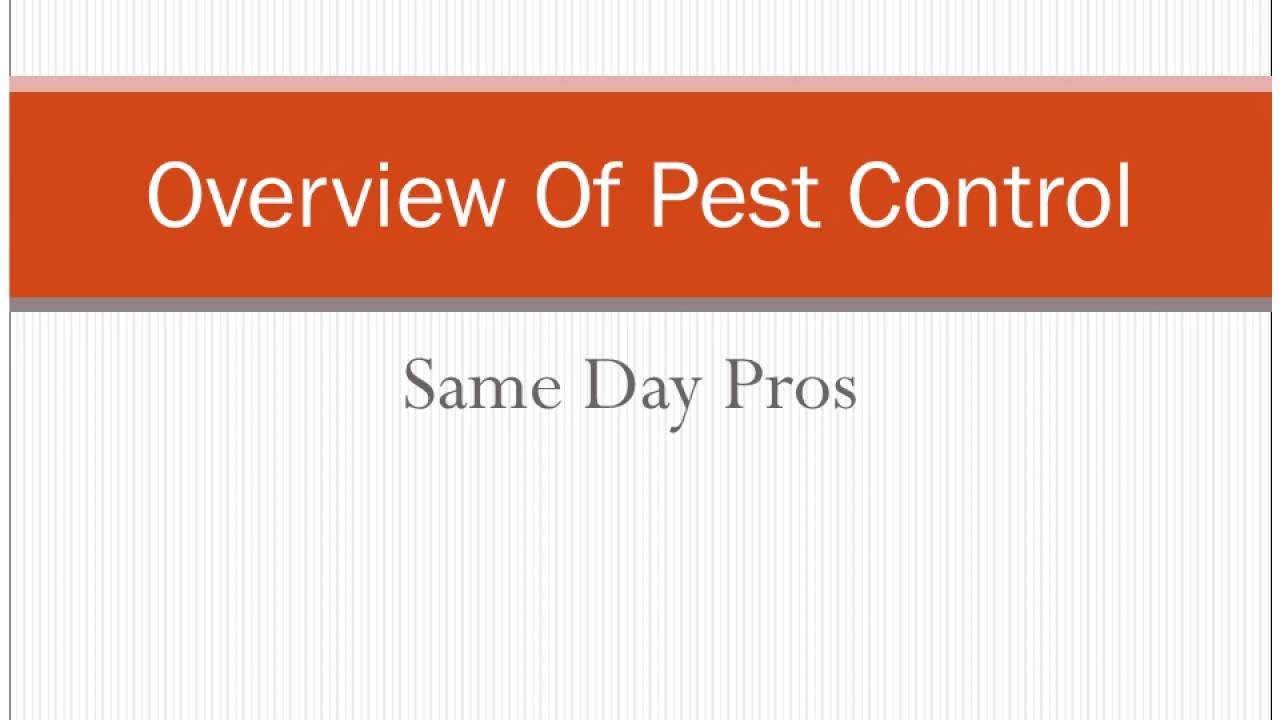 Overview Of Pest Control
