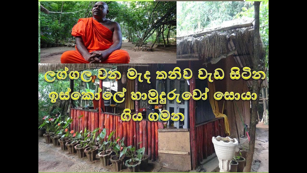 wana arana laggala  ලග්ගල වන මැද තනිව වැඩ සිටින ඉස්කෝලේ හාමුදුරුවෝ සොයා ගිය ගමන