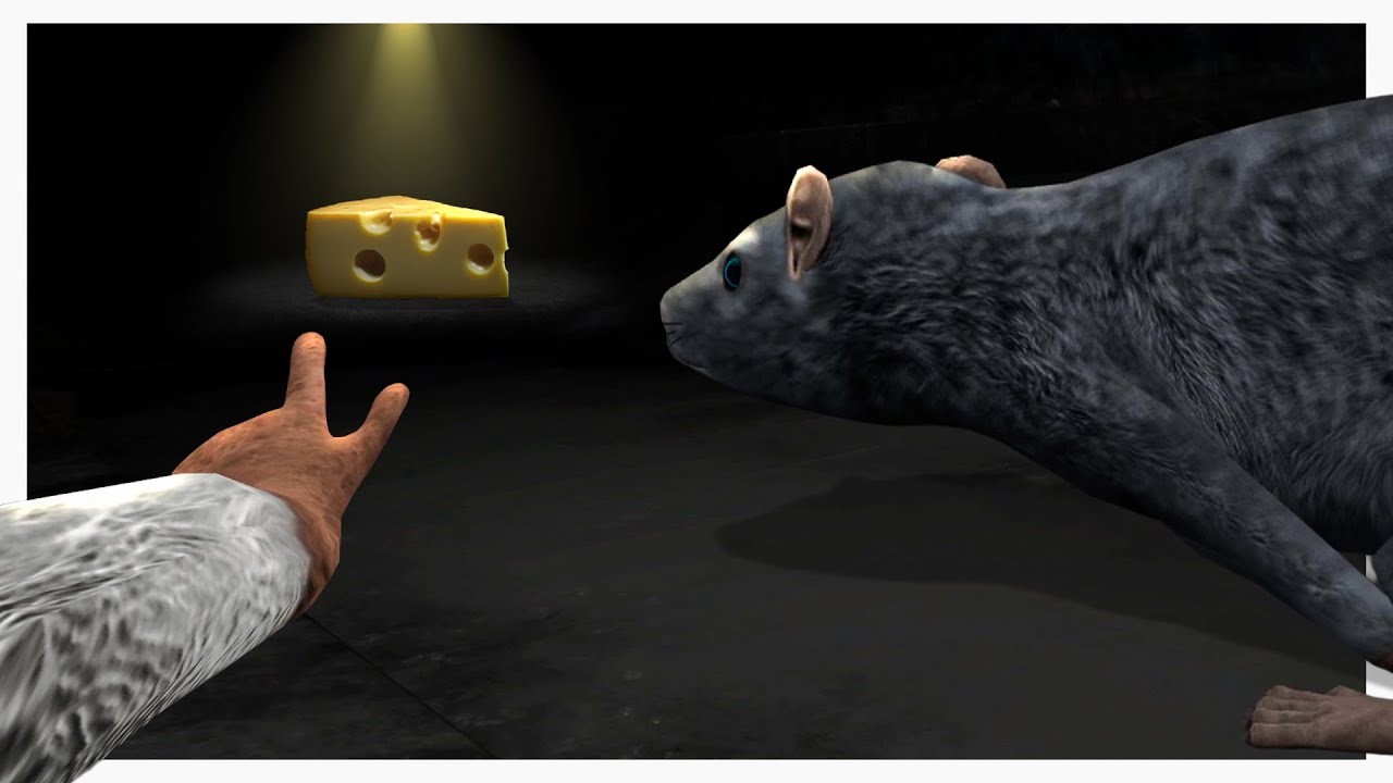 This Game Turned Us Into Rats