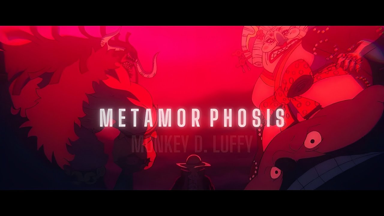 Luffy - Metamorphosis