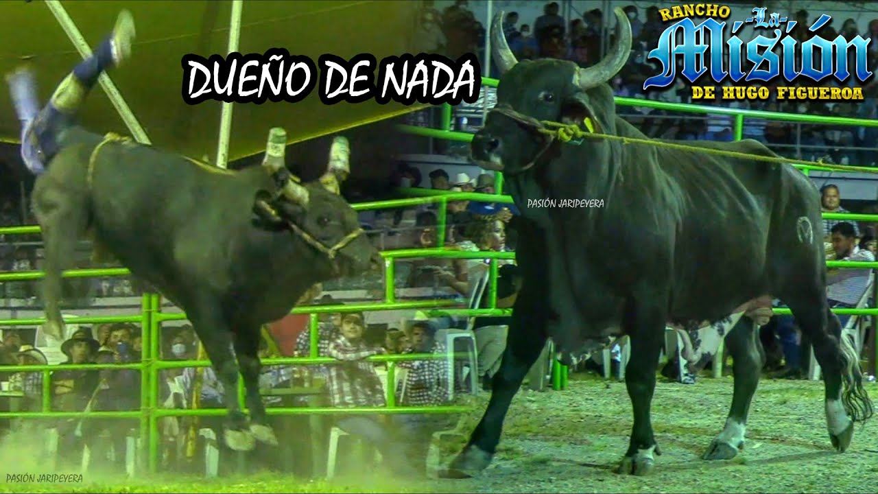 EL 