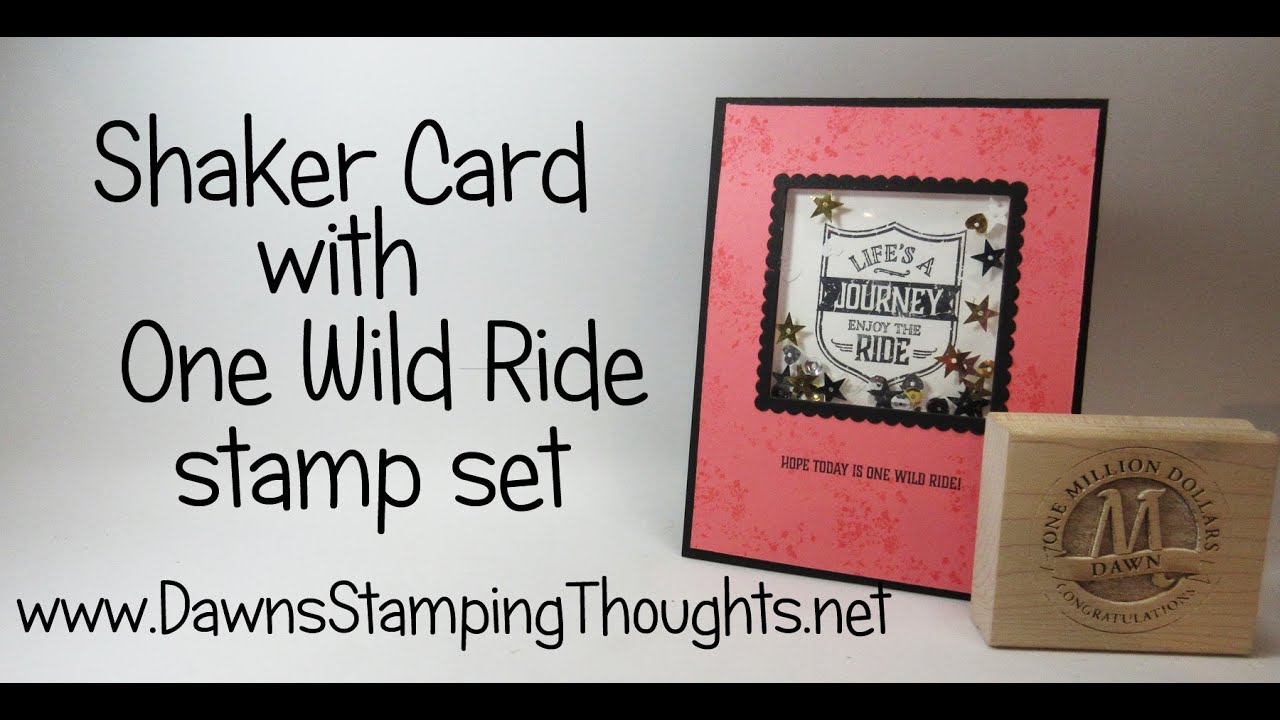 One Wild Ride stamp set Shaker card from Stampin'Up!