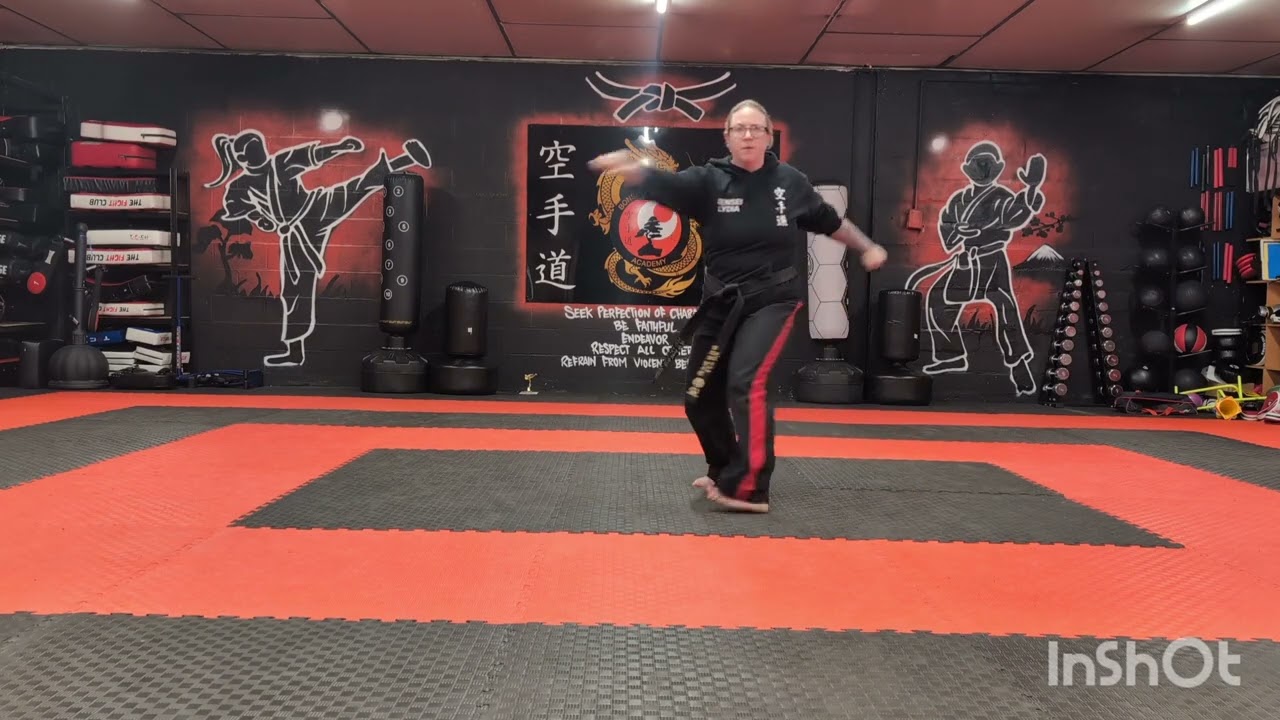Heiwa Nidan slow and fast - Sankukai Karate