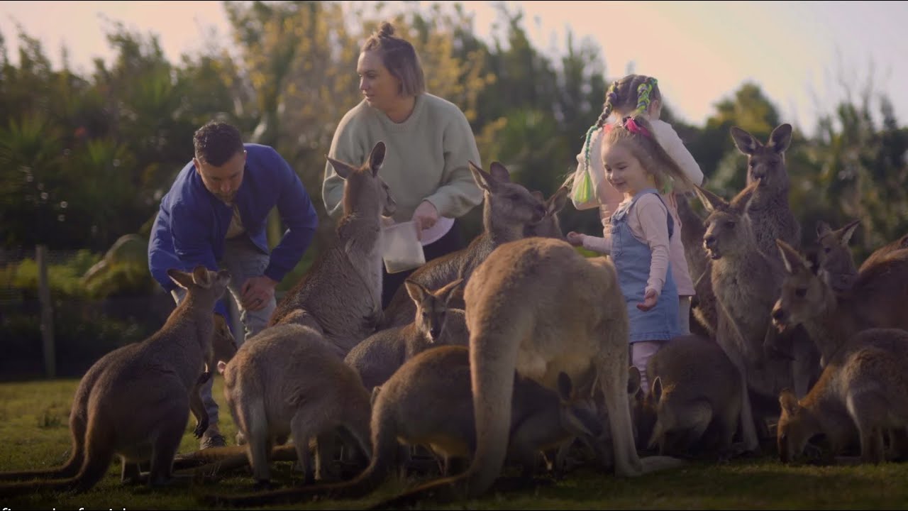 Best day ever at Wildlife Park