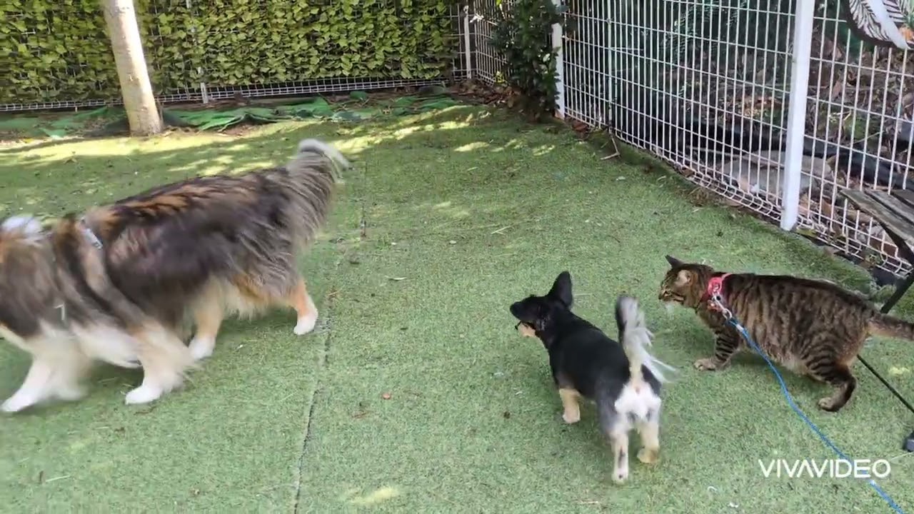 皆でセルチくんのお迎えです。セルチくん　いらっしゃい
