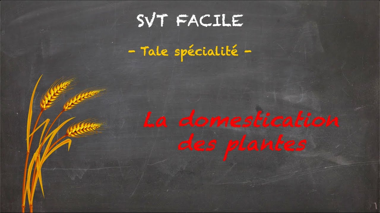 SVT FACILE - Tale spé. - La domestication des plantes