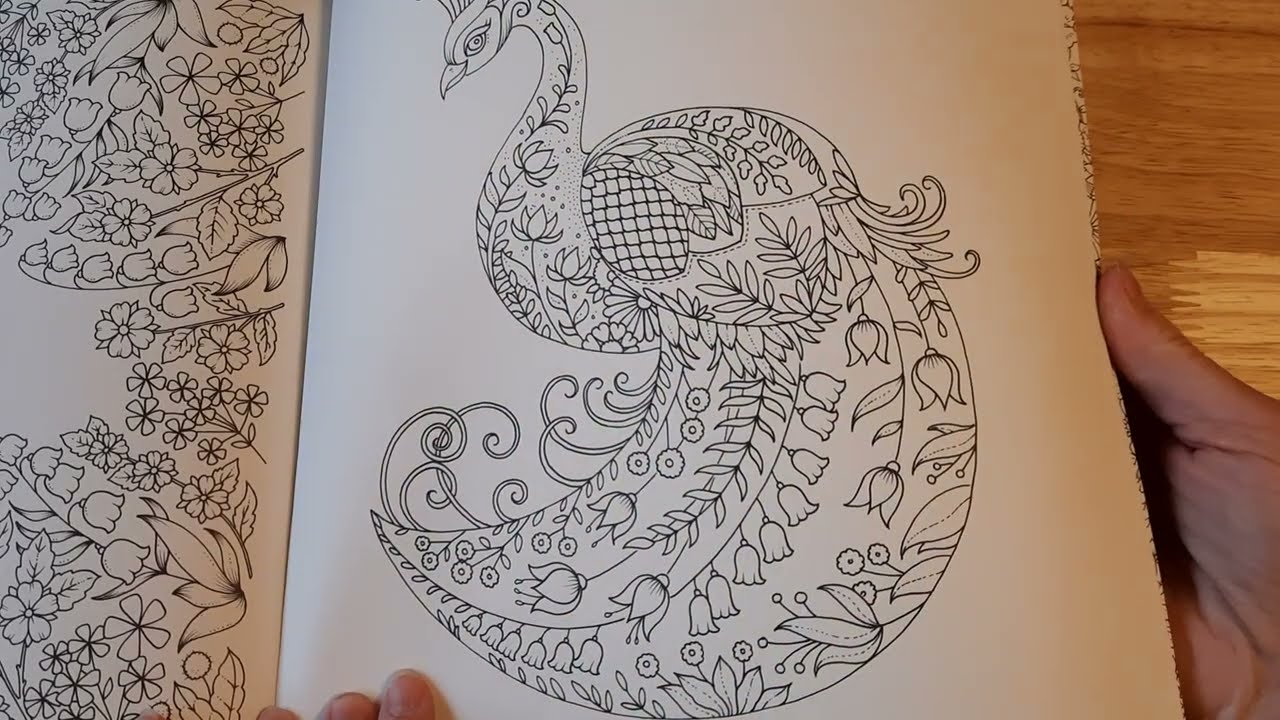 Flip through of Johanna Basford's Winderful Wildflowers Coloring Book 