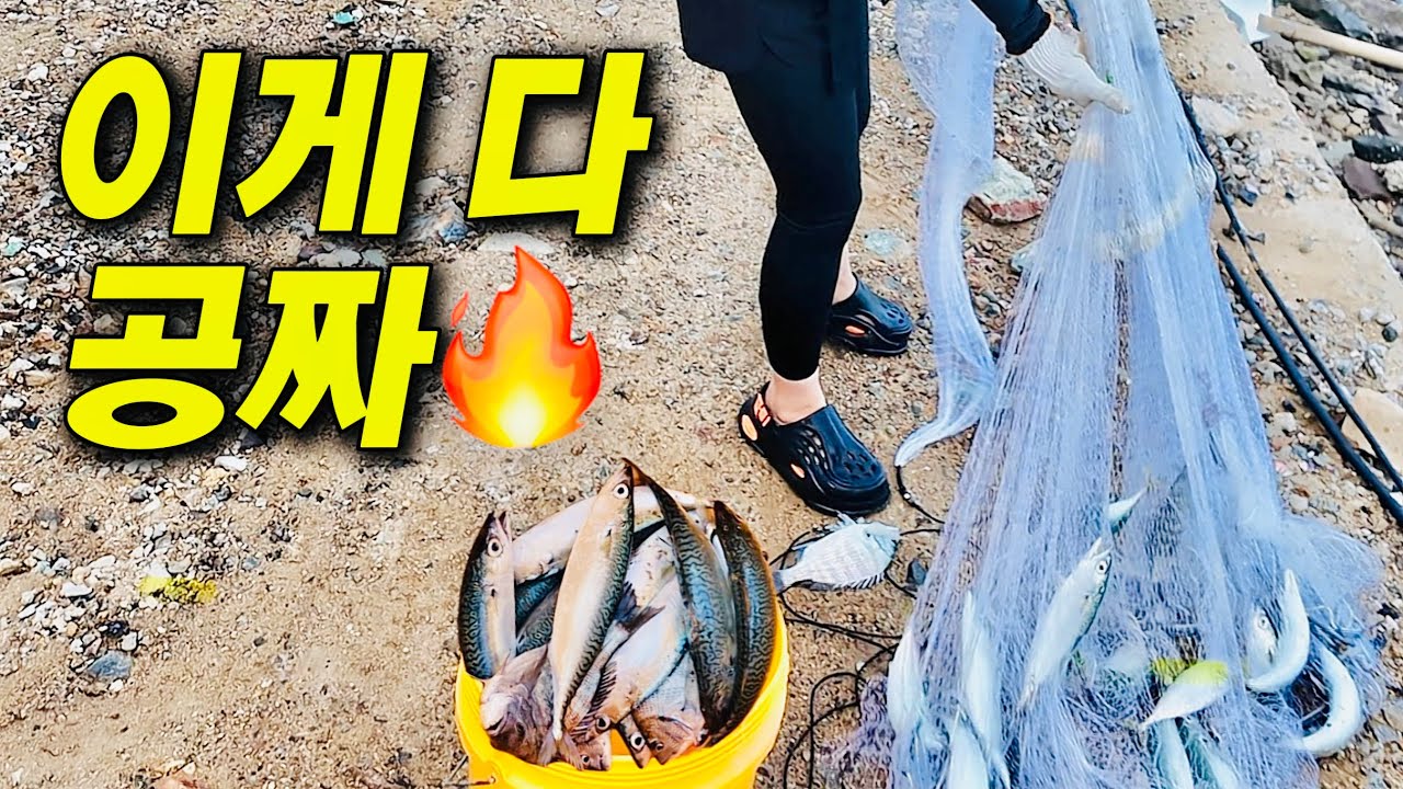 가을 늦더위 바다에 불 붙었습니다!