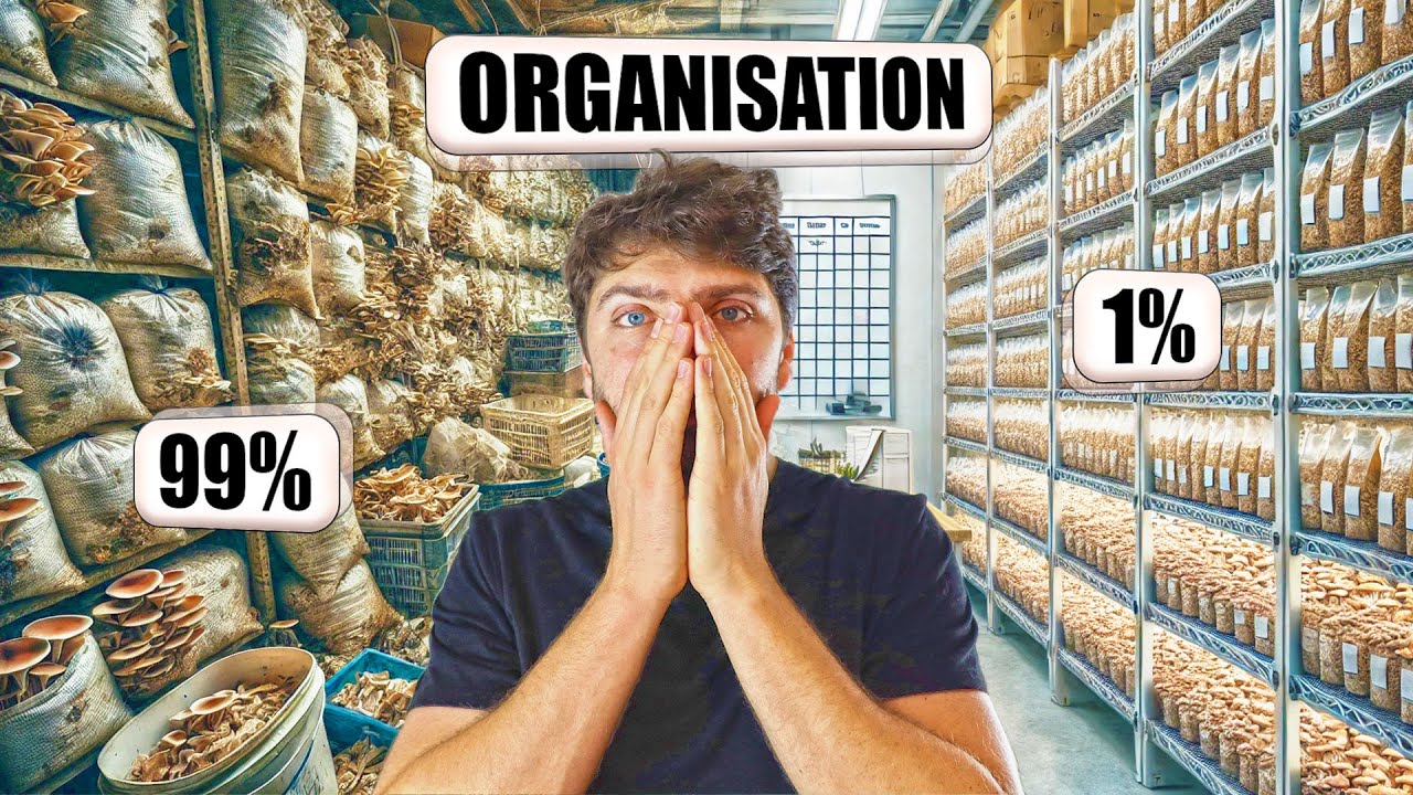 🍄 ORGANISATION en MYCICULTURE PRO : Faites MIEUX que les 99%
