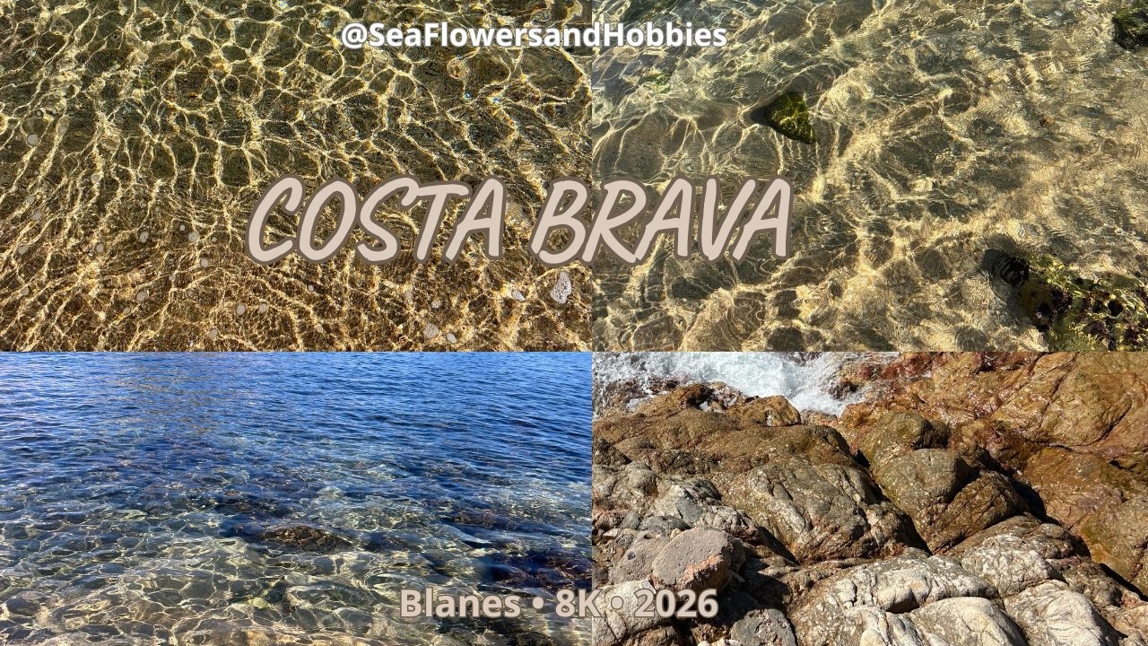 Costa Brava 8K | Blanes Spain Walking Tour – Mediterranean Coast, Promenade & Beaches