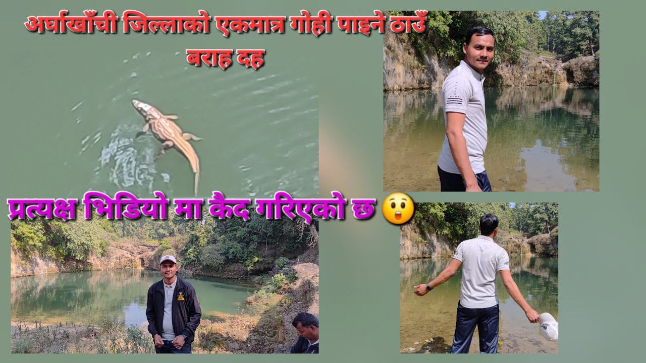 अर्घखाँची जिल्लाको एकमात्र गोही पाइने बराह दह शिनपा ९ लामिदमार प्रत्यक्ष गोही देखिएको भिडियो जय बराह